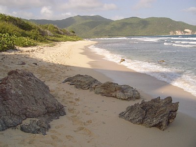 Reef-Bay-beach